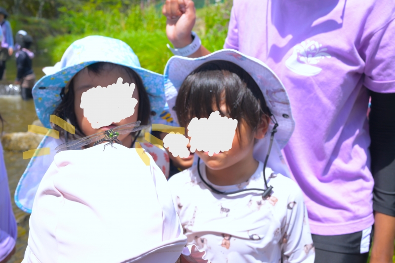 field trip.JPG